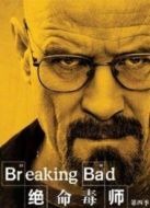 絕命毒師第4季劇情介紹(1-13全集)