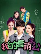 我的蠢萌老公劇情介紹(1-25全集)