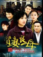 賢妻良母劇情介紹(1-32全集)