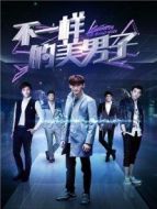 不一樣的美男子 DVD版劇情介紹(1-全集)
