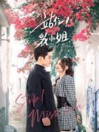 奈何BOSS又如何 越南語版