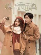 蝸牛與黃鸝鳥劇情介紹(1-40全集)