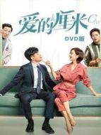 愛(ài)的厘米 DVD版劇情介紹(1-46全集)