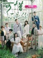 我有特殊溝通技巧 越南語版劇情介紹(1-26全集)