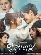 甜蜜的秘密劇情介紹(1-102全集)