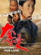 奪愛劇情介紹(1-32全集)