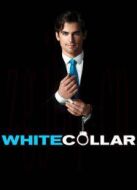 妙警賊探第1季劇情介紹(1-14全集)