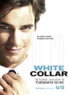 妙警賊探第2季劇情介紹(1-16全集)