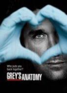 實(shí)習(xí)醫(yī)生格蕾第9季劇情介紹(1-24全集)