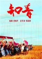 知青劇情介紹(1-45全集)