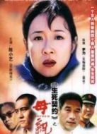 母親（陳小藝版）劇情介紹(1-29全集)