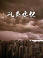 風(fēng)生水起劇情介紹(1-18全集)