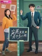 完美先生和差不多小姐 越南語(yǔ)版劇情介紹(1-24全集)