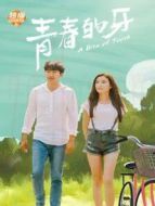 仲夏滿天心 國際版