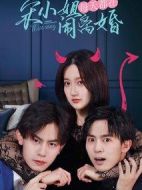 宋小姐每天都在鬧離婚劇情介紹(1-12全集)