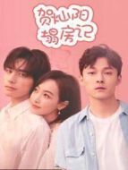 賀燦陽塌房記劇情介紹(1-10全集)