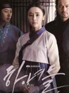 下女們劇情介紹(1-20全集)