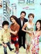 重返單身劇情介紹(1-14全集)