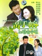 黃手帕DVD劇情介紹(1-全集)