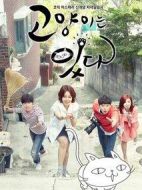 貓來了！喵劇情介紹(1-120全集)