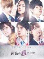 在深灰色的箱子中劇情介紹(1-0全集)