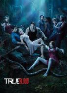 真愛如血第3季劇情介紹(1-12全集)