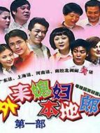 外來媳婦本地郎 第一部劇情介紹(1-300全集)