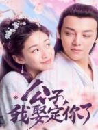 公子，我娶定你了 國(guó)際版