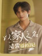 以家人之名 凌霄成長日記劇情介紹(1-6全集)