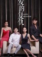 愛的復(fù)仇海報(bào)