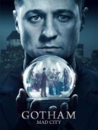 哥譚鎮(zhèn)第3季劇情介紹(1-全集)