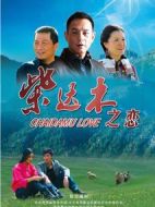 柴達木之戀劇情介紹(1-20全集)
