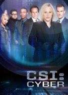 網(wǎng)絡(luò)犯罪調(diào)查第一季劇情介紹(1-13全集)