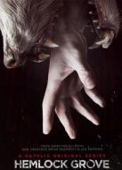 鐵杉樹叢第1季劇情介紹(1-13全集)