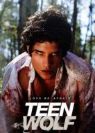 少狼第1季劇情介紹(1-12全集)