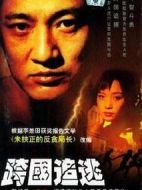 跨國追逃劇情介紹(1-23全集)