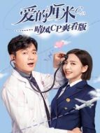 愛(ài)的厘米 晴風(fēng)CP爽看版海報(bào)