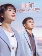 向陽而生 向陽花CP治愈版劇情介紹(1-15全集)