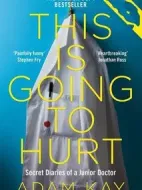 棄業(yè)醫(yī)生日志劇情介紹(1-8全集)