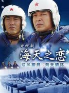 海天之戀劇情介紹(1-30全集)