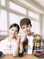 愛(ài)情代替套路劇情介紹(1-12全集)