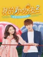 我的奇妙男友2 靈芝夫婦甜寵篇劇情介紹(1-14全集)