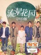 流星花園 DVD版劇情介紹(1-49全集)