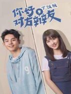 你好，對方辯友 越南語版劇情介紹(1-30全集)