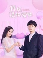 拜托，請你愛我 越南語版劇情介紹(1-24全集)