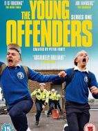 少年犯第二季劇情介紹(1-6全集)