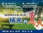 楊光的夏天劇情介紹(1-33全集)