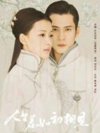 人生若如初相見速看版劇情介紹(1-全集)