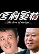 鄉(xiāng)村愛(ài)情3