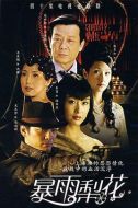 暴雨梨花劇情介紹(1-40全集)